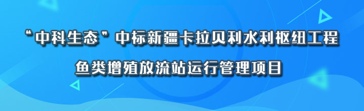 banner中標4.jpg